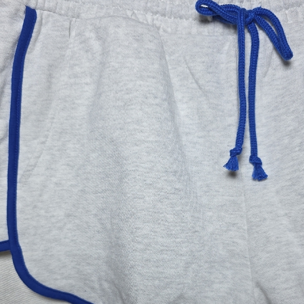 Wild Fable NWT Light Gray Shorts with Blue Trim - Picture 3 of 4